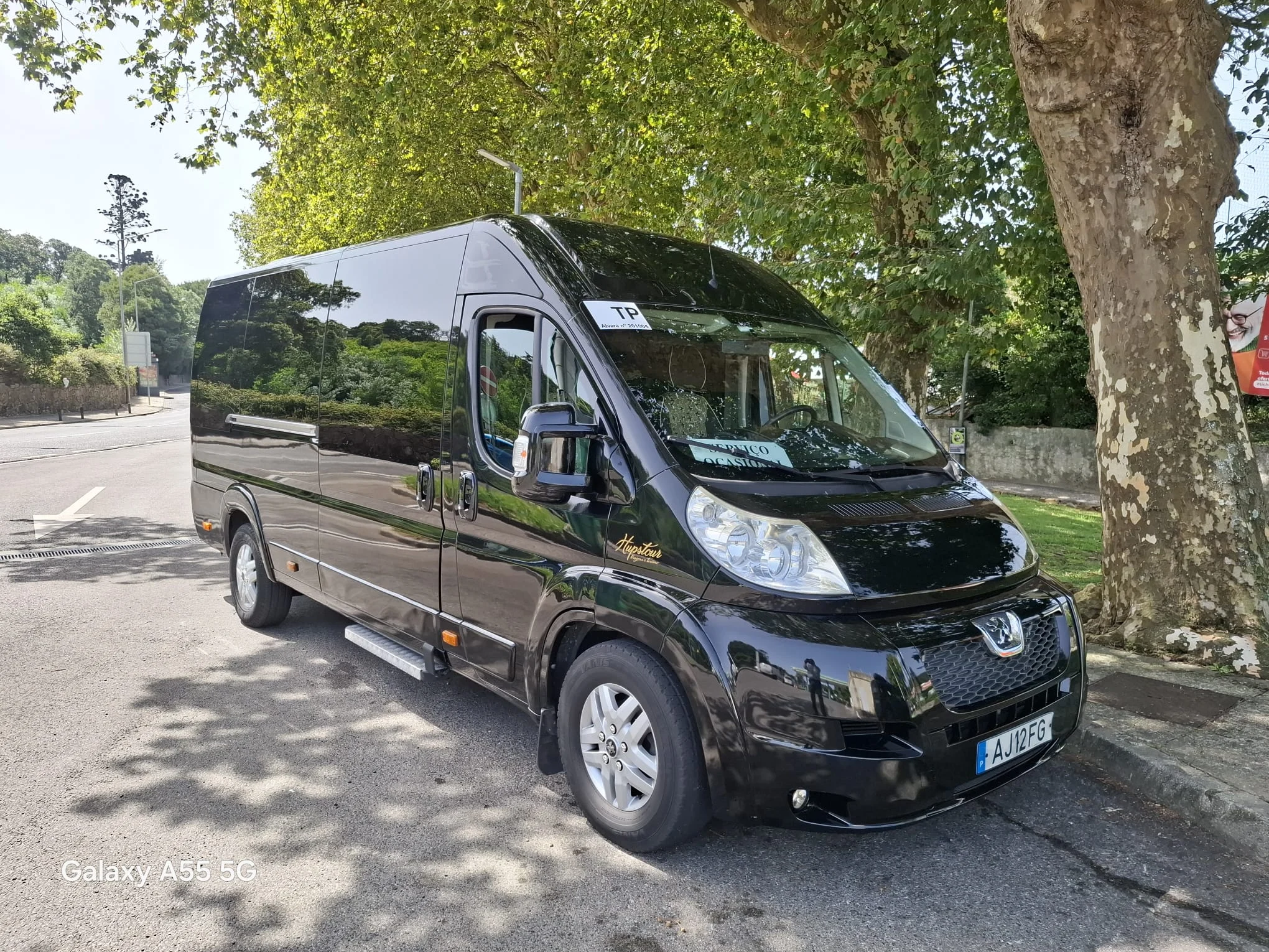 Peugeot Lux da frota Hupstour, 12 lugares